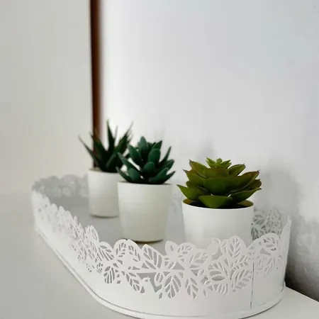 Lava Family Apartamento
